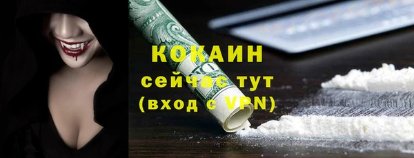 молекула духа Бердск