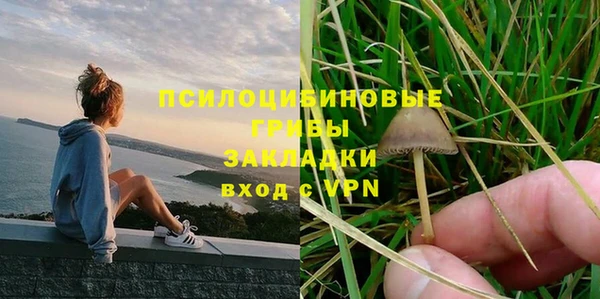 ешки Карпинск