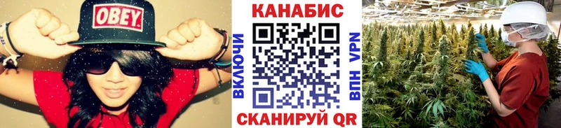 Каннабис THC 21%  Купить где  Новоульяновск 